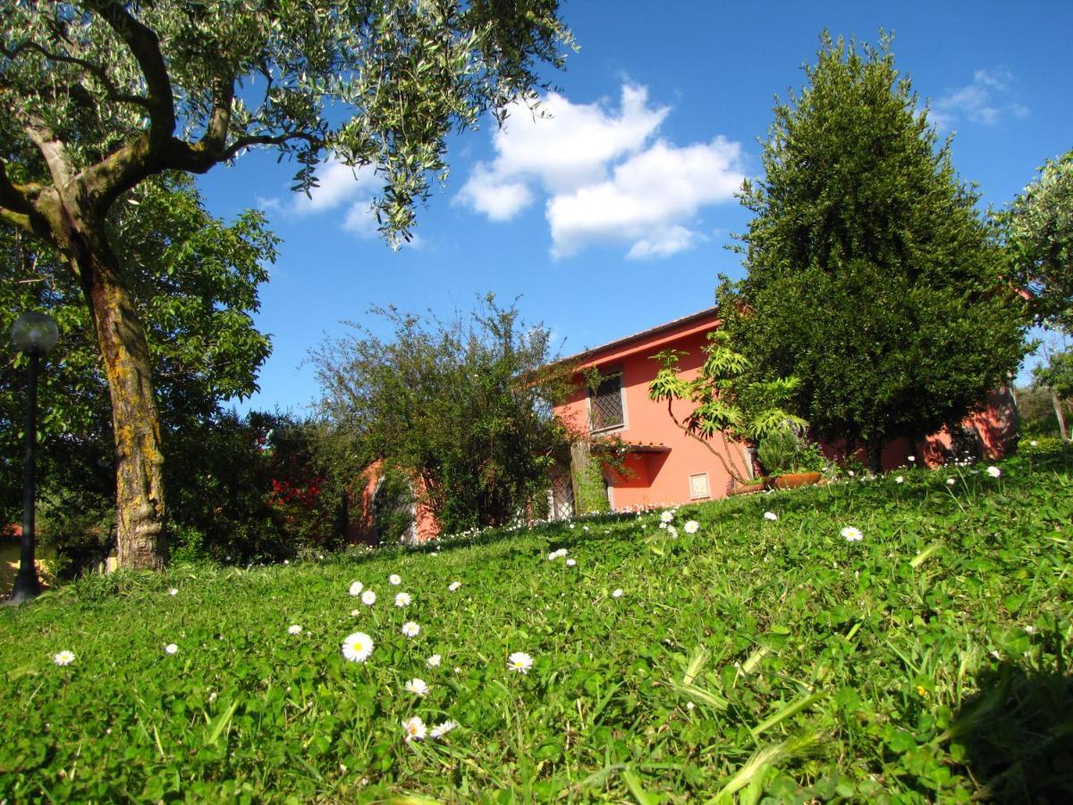 B&B Ai Glicini - Castelli Romani Marino Kültér fotó