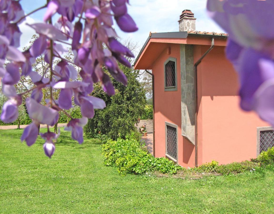 B&B Ai Glicini - Castelli Romani Marino Kültér fotó